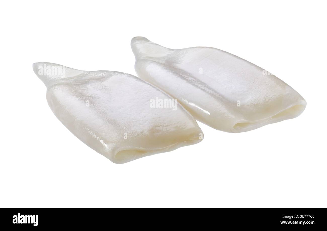 Rohe Tintenfischröhren isoliert auf weißem Hintergrund. Frisches, rohes Tintenfisch- oder Tintenfischfilet, isoliert auf weißem Hintergrund. Frische Meeresfrüchte, isoliert Stockfoto