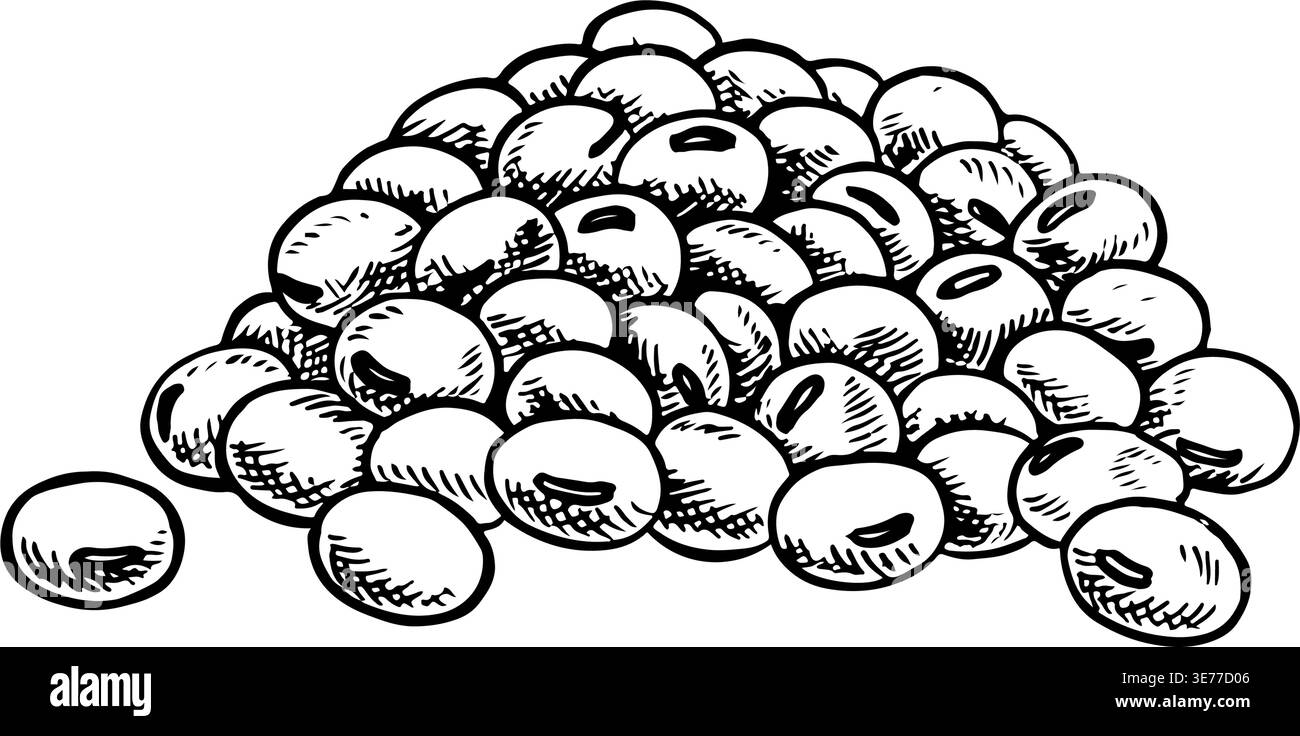 Ein Haufen Sojabohnen. Grafik-Illustration des Schwarzweiß-Vektors. Isolieren. Perfekt zum Erstellen von Produktetiketten, Postern, Bannern, Menüs und mehr. Stock Vektor