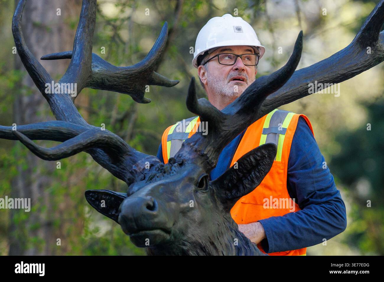Portland, USA. April 2026. PORTLAND, OREGON, USA – 9. April 2026: Die Thompson Elk, eine 6.800 Pfund schwere Bronzestatue im Zentrum von Portland, wurde heute auf ihrem Sockel ersetzt, nachdem sie 2020 während der Black Lives Matter Proteste zur Verwahrung entfernt worden war. The Elk, ein Wahrzeichen an der Main Street in Portland, war ein Geschenk des ehemaligen Bürgermeisters David Thompson im Jahr 1900. (Foto: John Rudoff/SIPA USA) Credit: SIPA USA/Alamy Live News Stockfoto