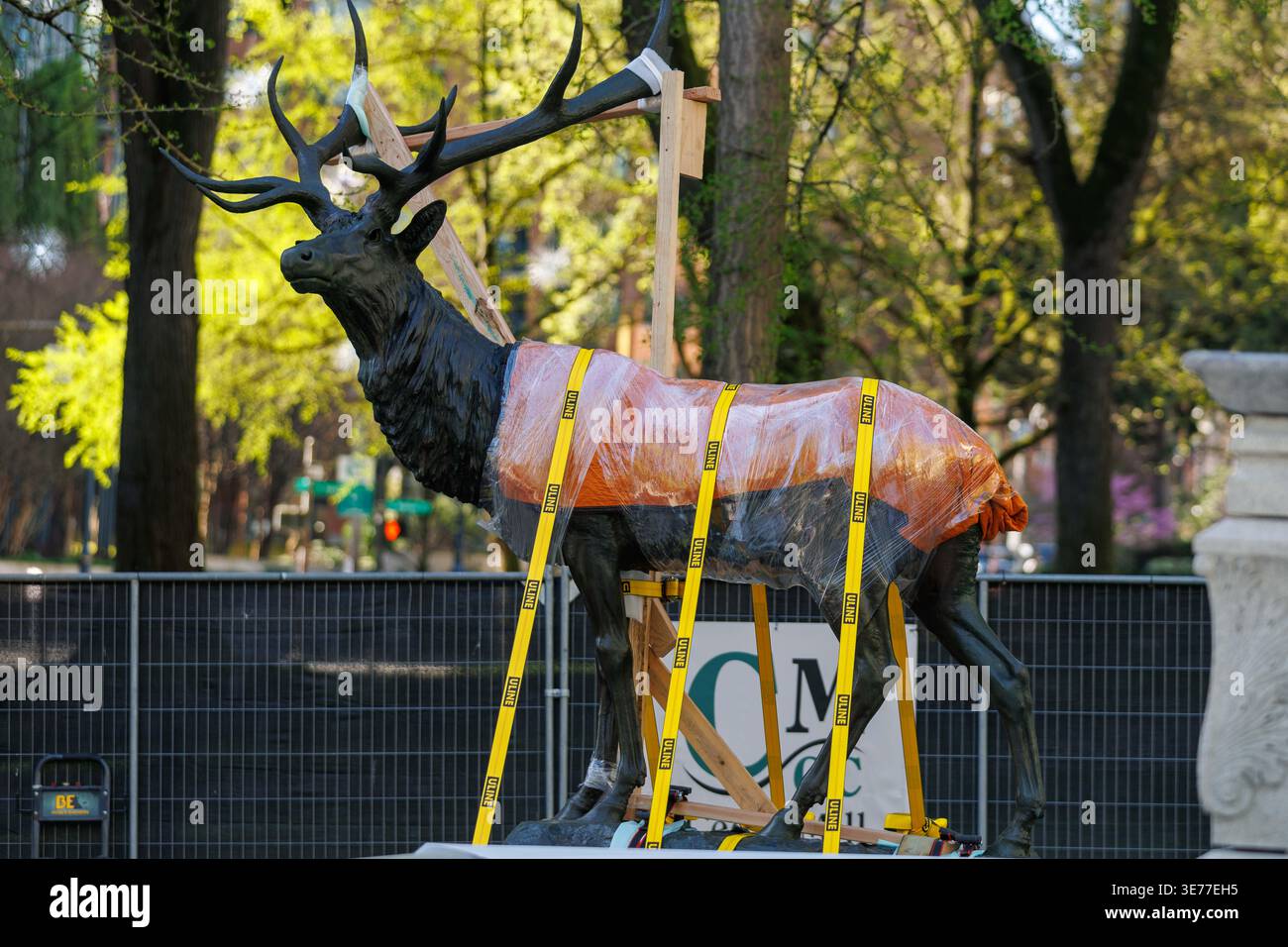 Portland, USA. April 2026. PORTLAND, OREGON, USA – 9. April 2026: Die Thompson Elk, eine 6.800 Pfund schwere Bronzestatue im Zentrum von Portland, wurde heute auf ihrem Sockel ersetzt, nachdem sie 2020 während der Black Lives Matter Proteste zur Verwahrung entfernt worden war. The Elk, ein Wahrzeichen an der Main Street in Portland, war ein Geschenk des ehemaligen Bürgermeisters David Thompson im Jahr 1900. (Foto: John Rudoff/SIPA USA) Credit: SIPA USA/Alamy Live News Stockfoto