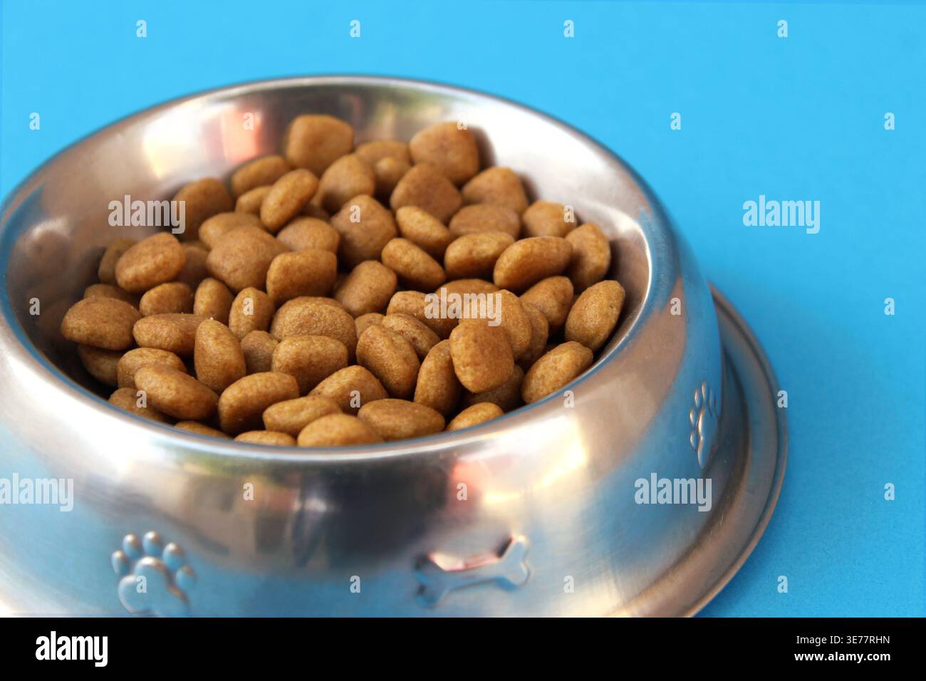 Braunes Trockenfutter auf glänzender, verzierter silberner Tiernahrungsschale auf unendlichem hellblauem Hintergrund. Konzept: Nahrhaftes Hundefutter zum Verzehr. Stockfoto