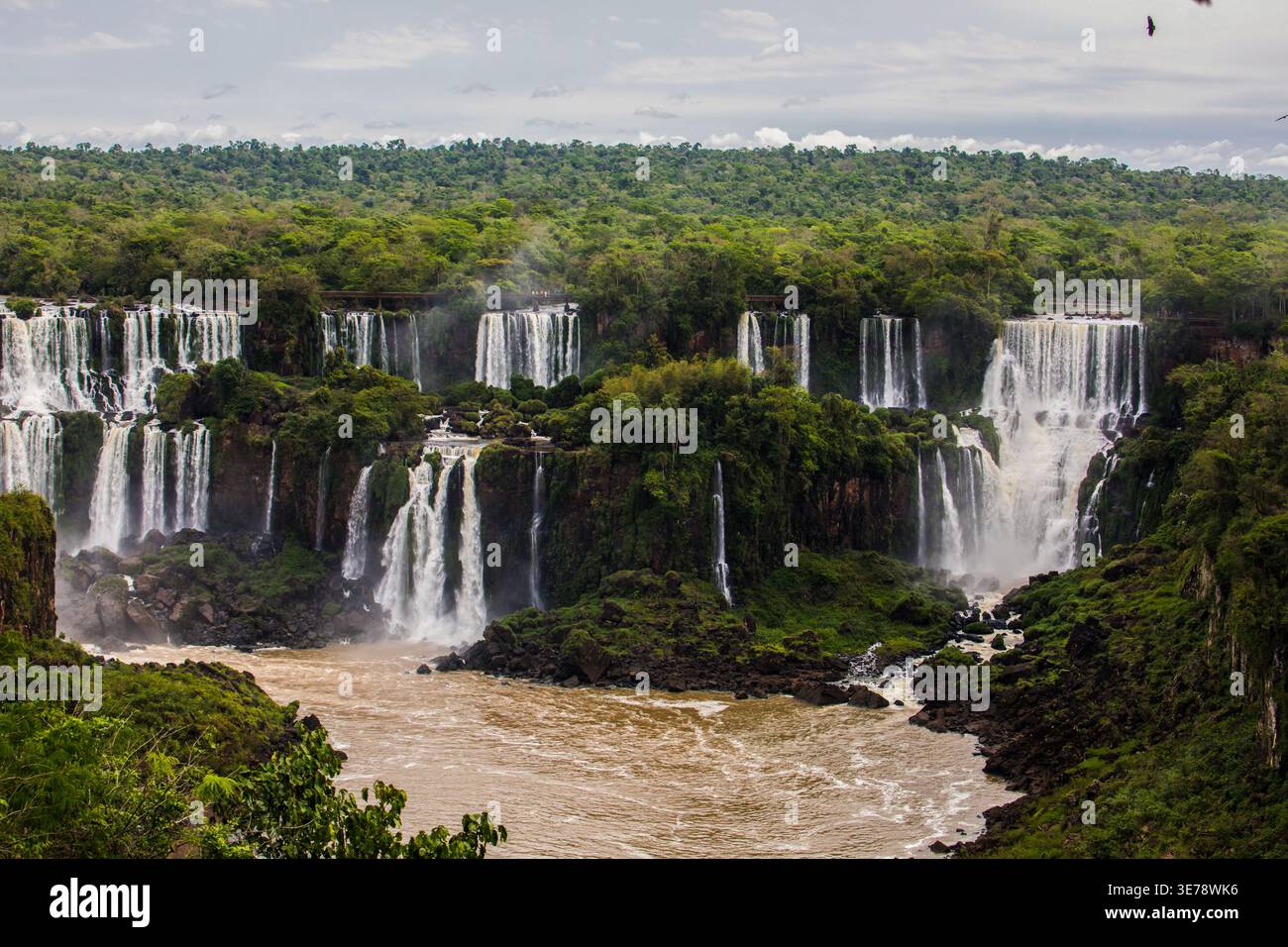 Das herrliche System der Iguazu-Fälle zeigt Dutzende von einzelnen Kaskaden, die dramatisch in das aufgewühlte braune Wasser des Iguazu River Be eintauchen Stockfoto