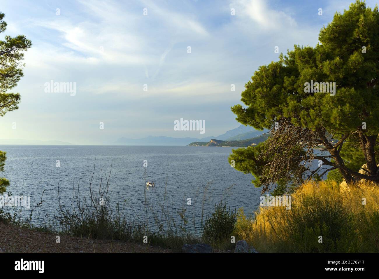 Blick auf die Adria mit Kiefern und Küste. Natürliche mediterrane Landschaft. Stockfoto