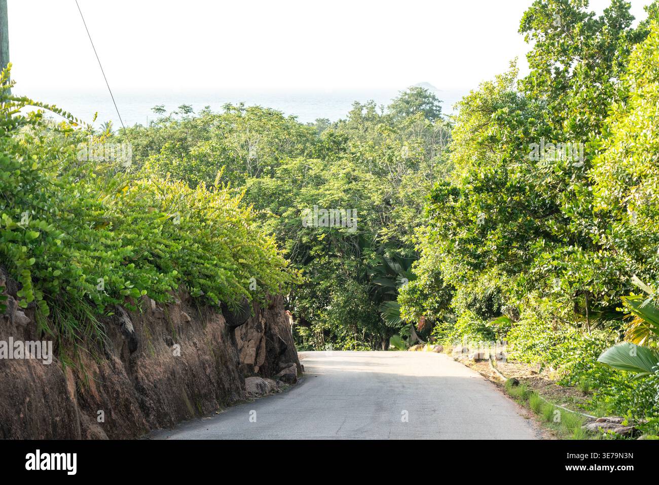 Tropische Straße durch dichtes Grün in Richtung Anse Lazio Strand auf den Seychellen, umgeben von Wald und üppiger Vegetation Stockfoto