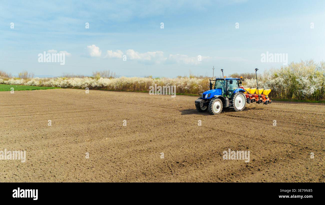 Aus der Vogelperspektive eines blauen Traktors, der den Boden auf einem weiten Feld bebaut, im Kontrast zu einer Reihe von Bäumen mit weißen Blüten, Sremska Mitrovica, Vojvodina, Serbien Stockfoto