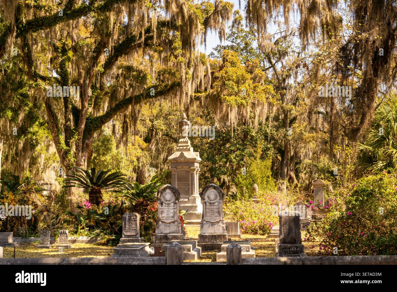 Savannah, USA - 11. März 2026: Detailansicht von Grabsteinen und typischem lebenden Eichen und spanischem Moos auf dem historischen Bonaventure Friedhof Stockfoto