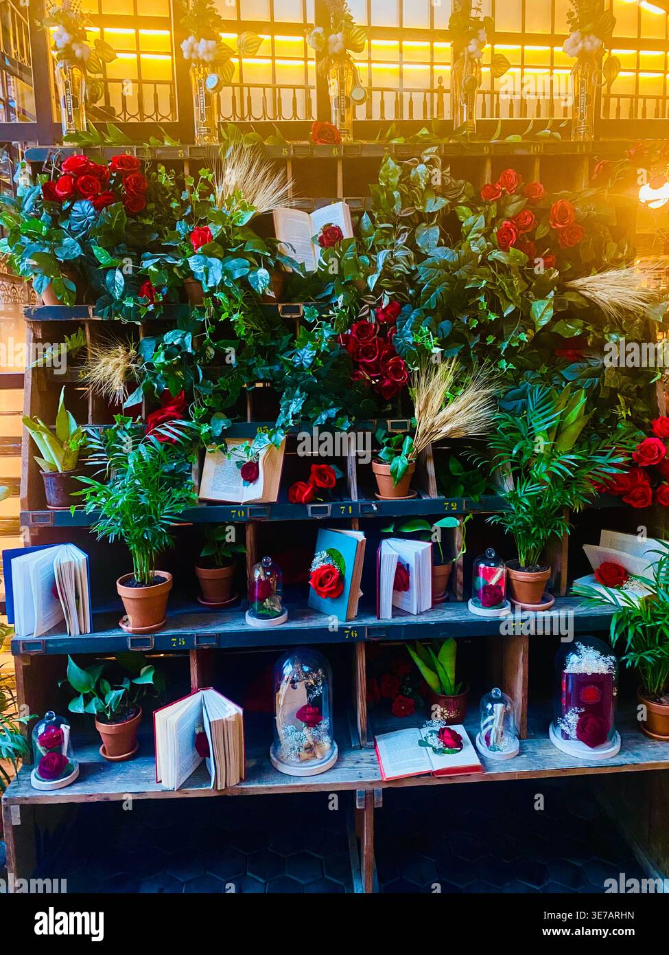 Arrangement mit roten Rosen und Büchern. Tag Sant Jordi. Barcelona - Smartphone-aufgenommenes Stockfoto