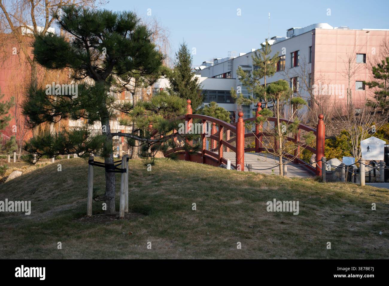 Rote bogenförmige Holzbrücke in einem kompakten städtischen Garten, eingerahmt von Kiefern und grasbewachsenen Hügeln, moderne Gebäude im Hintergrund, am späten Nachmittag Stockfoto