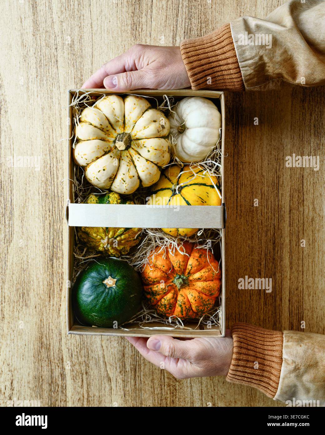 Vertikale Herbst Kürbisse Geschenkbox gemütliche Herbst Dekor Social Post Stockfoto