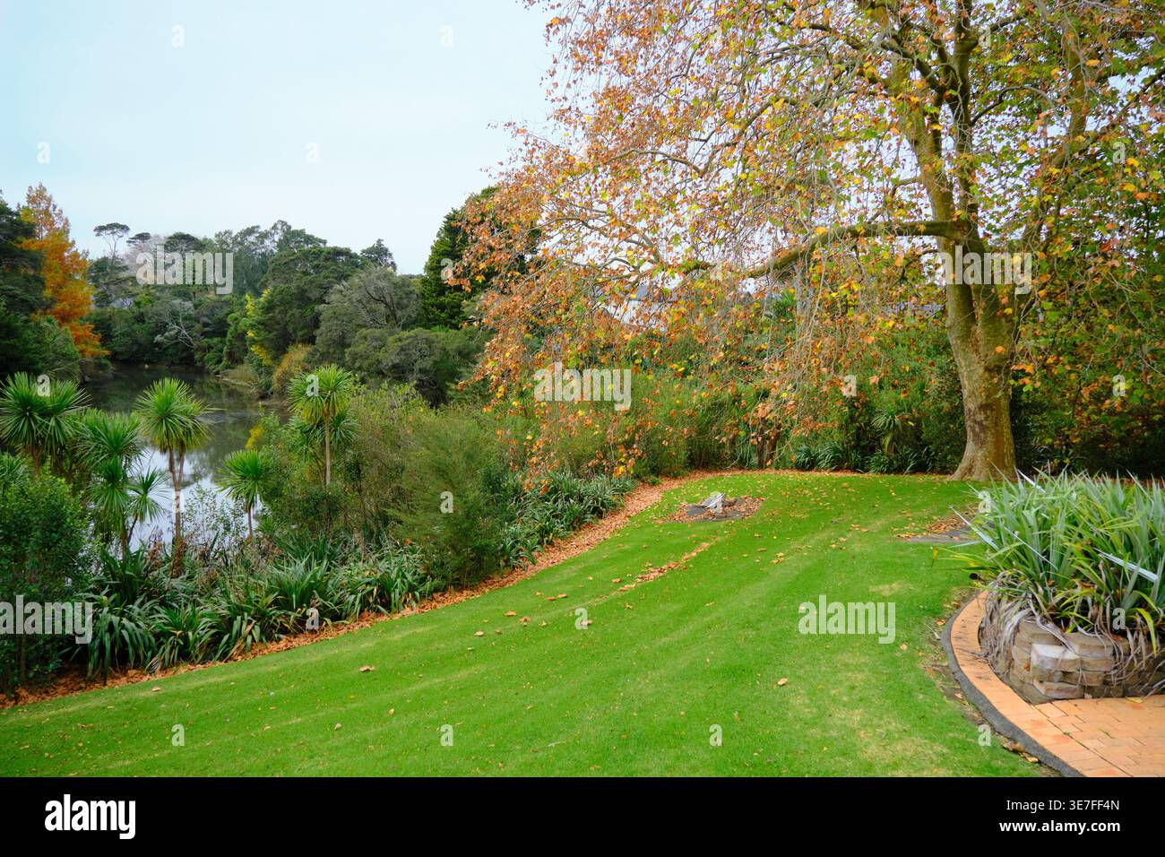 Ein gepflegter grüner Rasen neben einem Fluss mit einem Herbstbaum und einheimischen Pflanzen aus Neuseeland Stockfoto