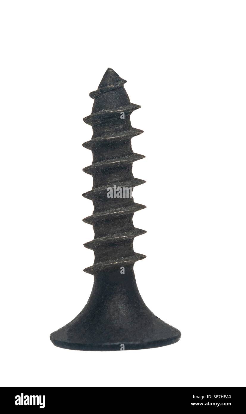 Bauschnecken-Nahaufnahme auf weißem isoliertem Hintergrund Stockfoto