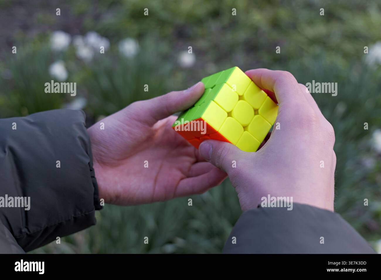 Hände, die einen Rubik’s Cube mit grünen, roten, gelben und orangen Seiten drehen, im Freien mit verschwommenem Gartenhintergrund und sichtbarer dunkelgrüner Jacke 2026 Stockfoto