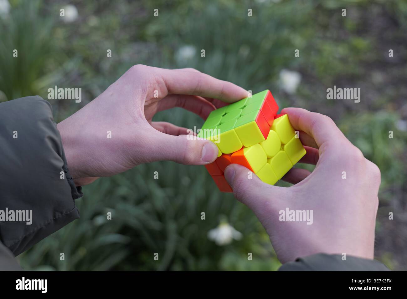 Hände, die einen Rubik’s Cube mit grünen, roten, gelben und orangen Seiten drehen, im Freien mit verschwommenem Gartenhintergrund und sichtbarer dunkelgrüner Jacke 2026 Stockfoto