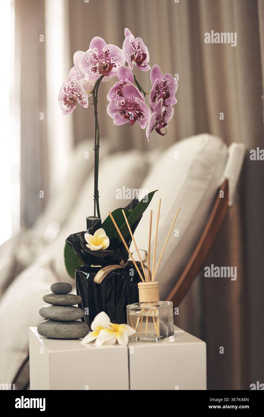 Spa, Blumen und Zen-Steine für Entspannung, Gastfreundschaft oder Dekor im Zimmer mit ausgewogenem Gleichgewicht im Luxusresort. Steine, Therapie und leerer Salon mit Orchideen Stockfoto