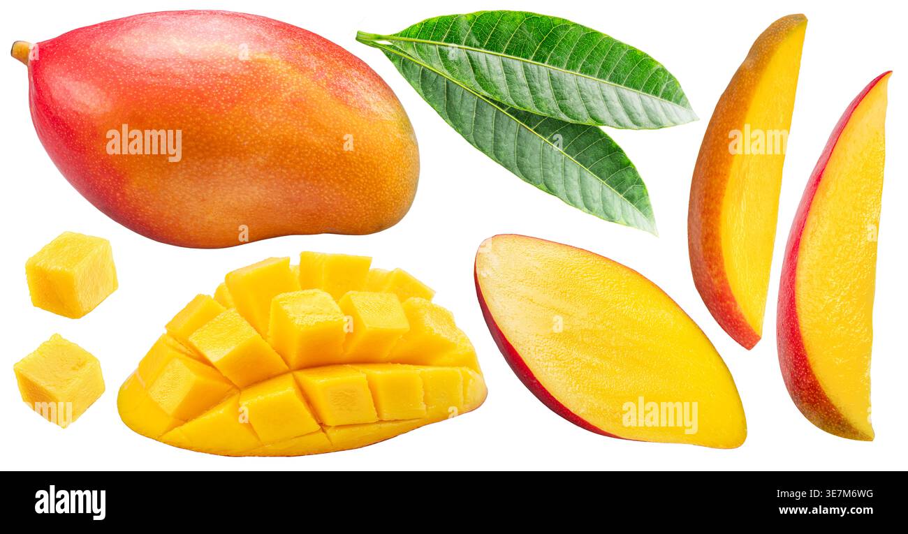 Sammlung von Mangobrüchscheiben mit Mangoblättern isoliert auf weißem Hintergrund. Datei enthält Beschneidungspfade. Stockfoto