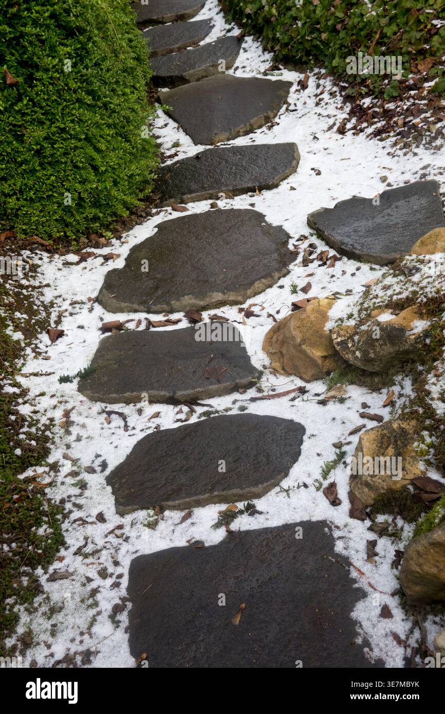 Dunkle Steintreppsteine auf einem Gartenweg, der im Januar im Winter mit einem leichten weißen Schnee bedeckt ist Stockfoto