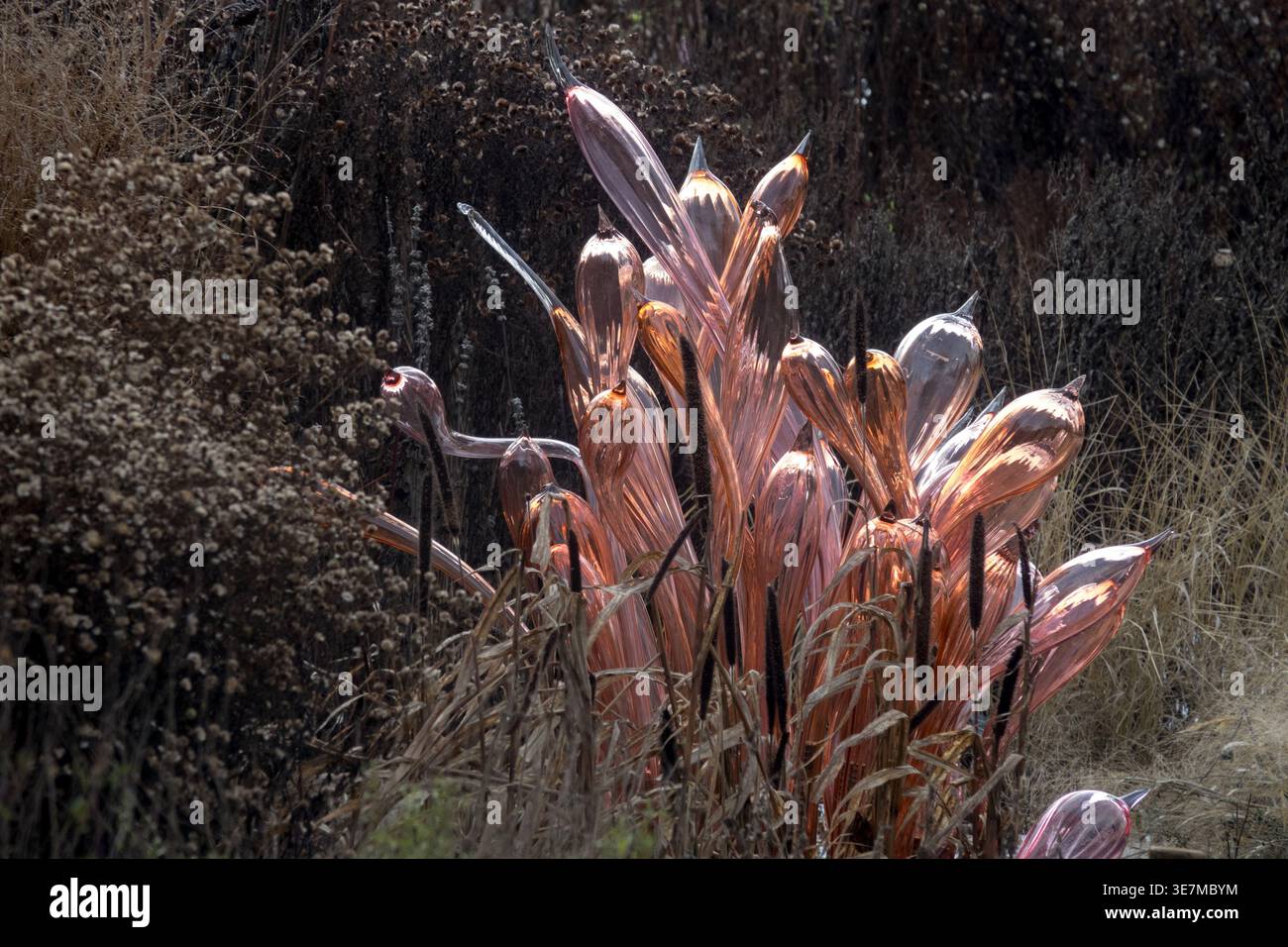 Glasblumenskulptur von Jiri Pacinek bei der Ausstellung Kristallgarten im Prager Botanischen Garten im Herbst Winter Stockfoto