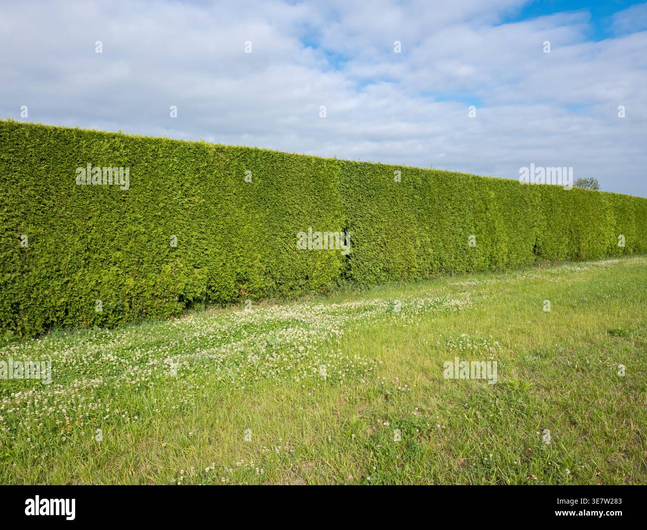 beste dünger für zimmerpflanzen Lebender Dünger Organic-Balance für Zimmerpflanzen und Blüher main image 0