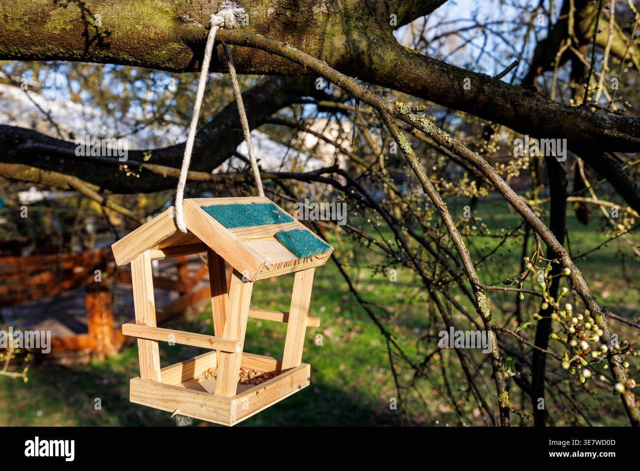 An einem sonnigen Frühlingstag in einem Stadtpark hängt ein Vogelfutter an einem Baumzweig. Das Vogelfutter aus Planken hängt an einer Schnur. Stockfoto