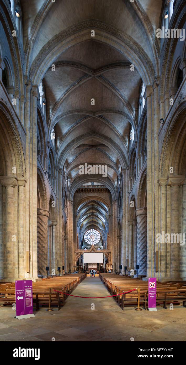 Das lange Schiff der Durham Cathedral zeigt atemberaubende romanische Architektur mit gerippten Gewölben und massiven Säulen, die zu einem Rosenfenster führen Stockfoto