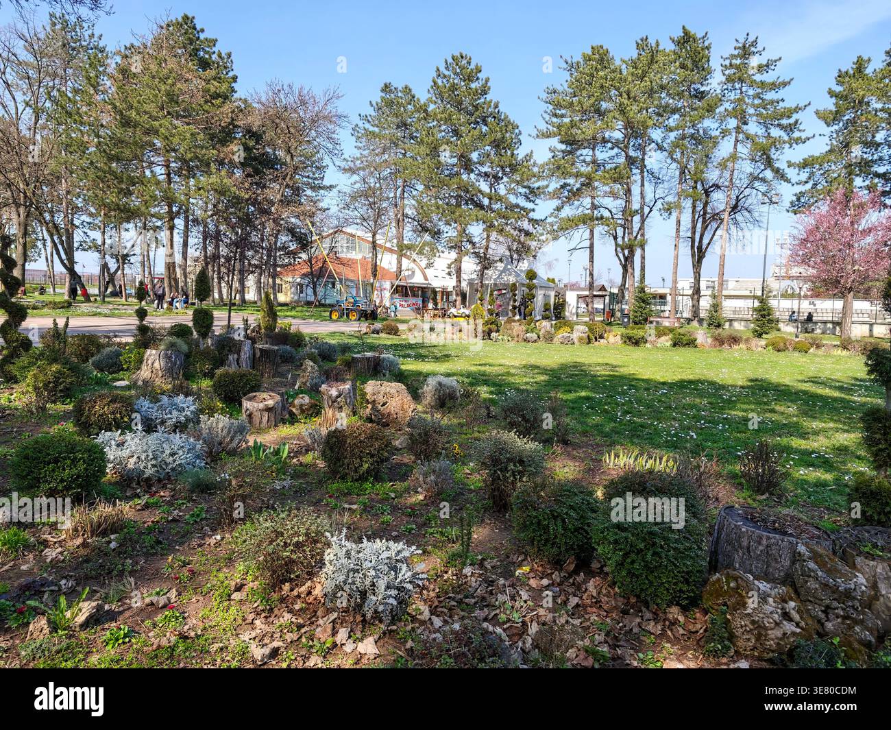 Sonniger Botanischer Garten Landschaft Bäume Rasen Stockfoto
