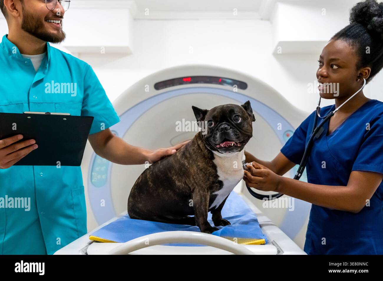 Indische Krankenschwester mit Klemmbrett, die mit einer schwarzen Kollegin spricht, die ein Stethoskop benutzt und einen Hund untersucht, der auf dem Scannerbett sitzt, während er im MRT steht... Stockfoto