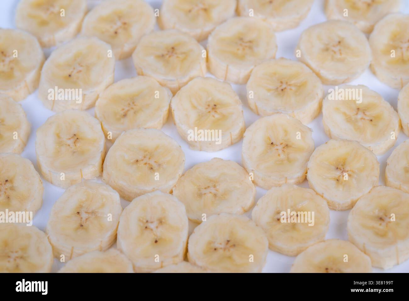 Vorbereitete gefrorene Bananenstücke. Bananenscheiben auf Tablett zum Einfrieren angeordnet. Bananensegmente werden auf Tablett für die Kühllagerung vorbereitet und organisiert Stockfoto