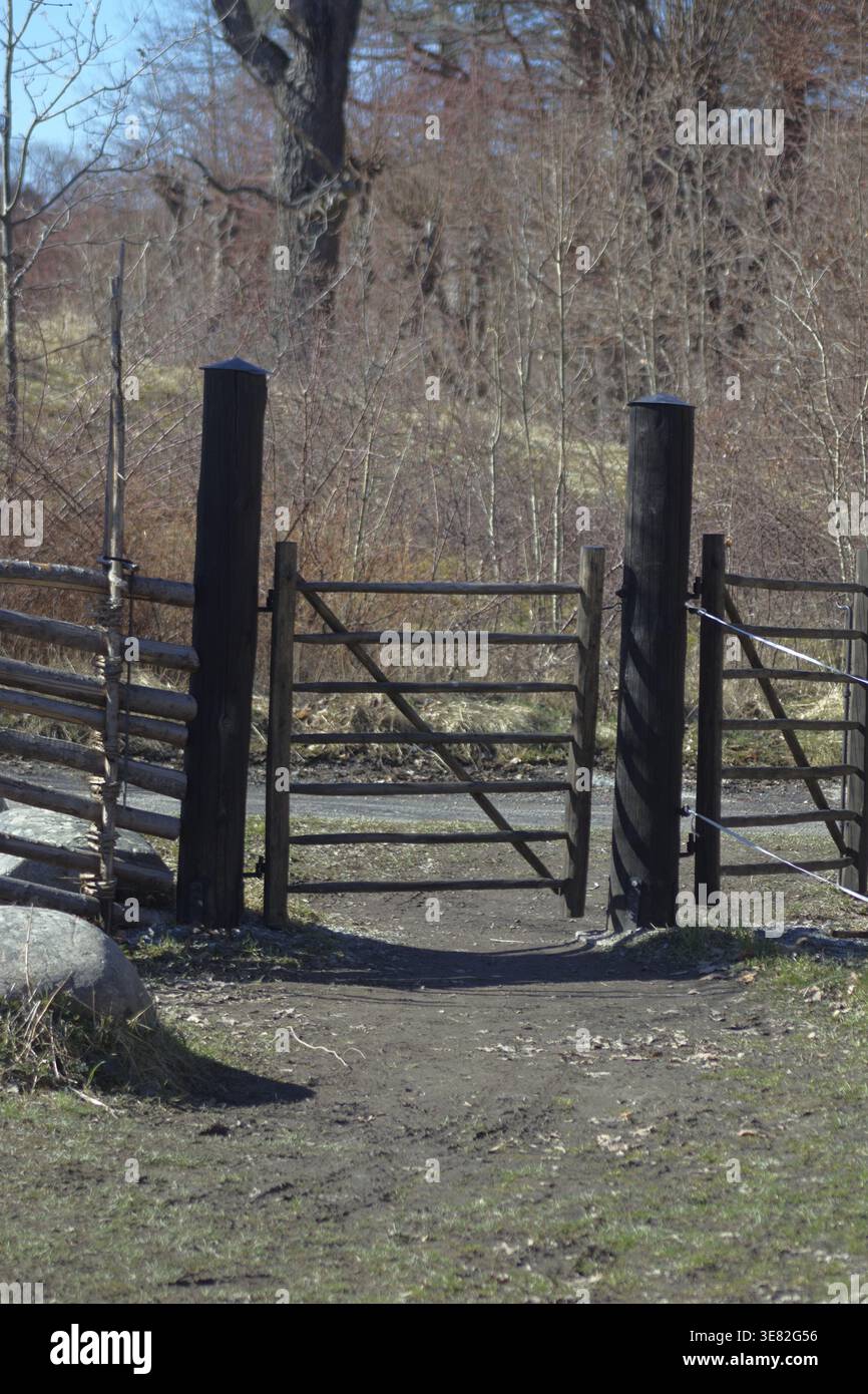 Alter schwedischer Holzzaun auf dem Feld bei Frühlingssonne Stockfoto