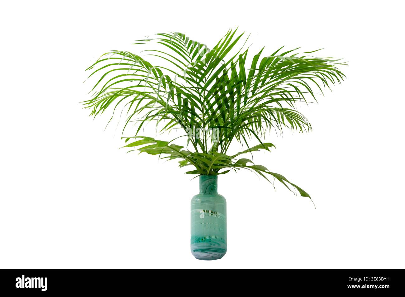 Tropische Palmblätter in einer blauen Marmorglasvase. Palme in einem Blumentopf. Palme in einer Vase Stockfoto