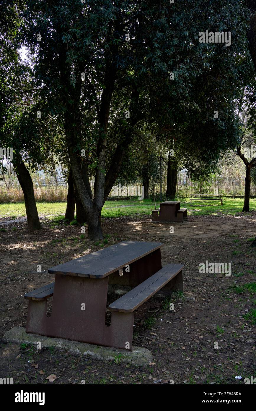 Hölzerne Picknicktische und -Bänke in einem Park unter grünen Baldachin und bieten einen ruhigen Ort für Freizeit im Freien Stockfoto