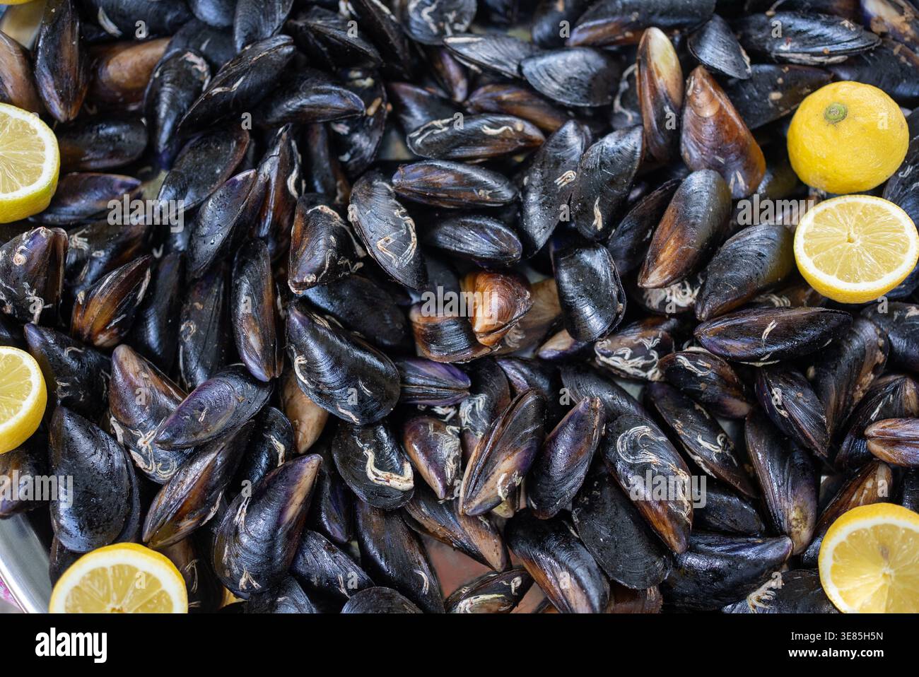 Frische Muscheln mit Zitronenscheiben Hintergrund Meeresfrüchte Textur. Hochwertige Fotos Stockfoto