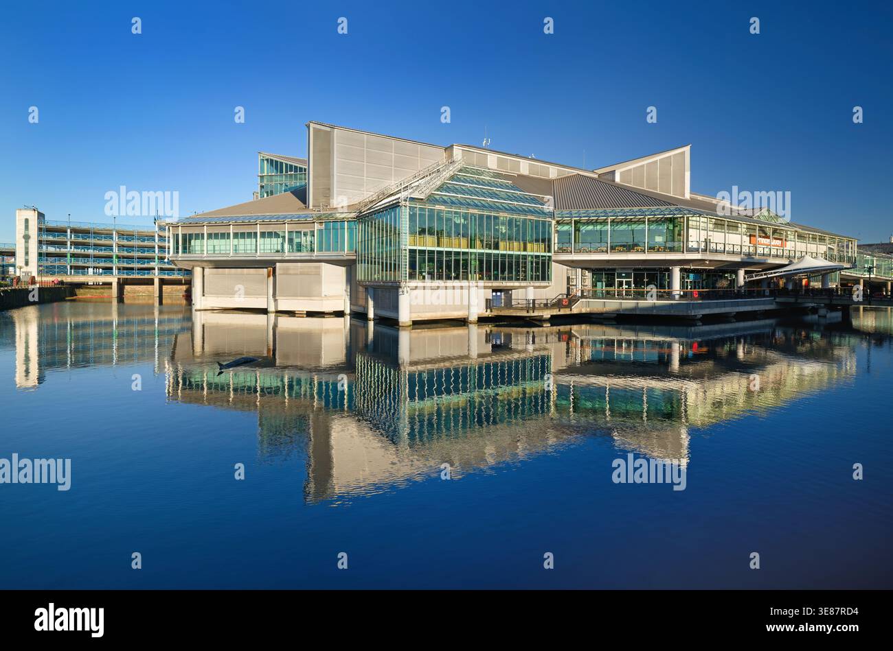 Großbritannien, East Yorkshire, Hull, Princes Dock, Princes Quay Shopping Centre. Stockfoto