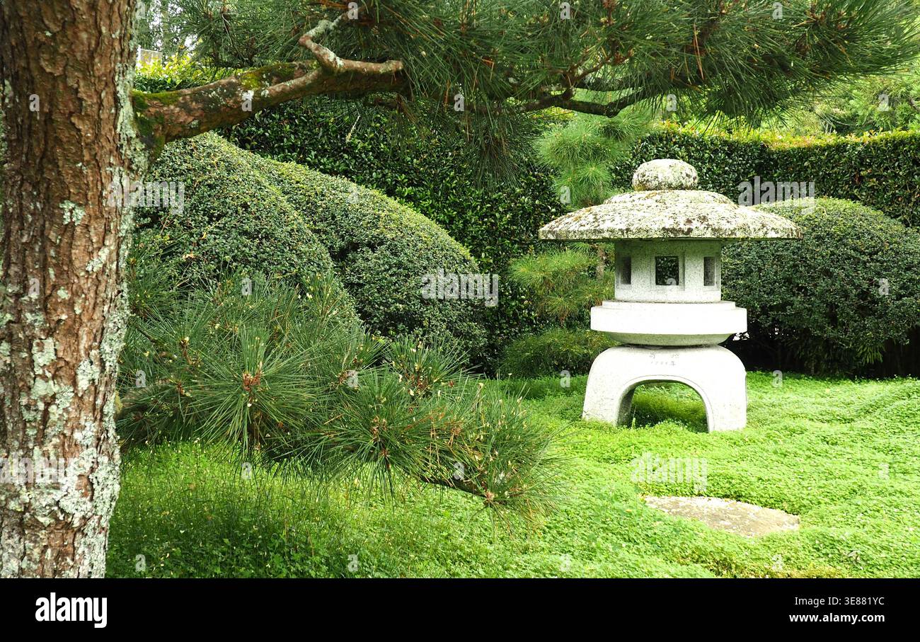 Ein traditioneller japanischer Garten im Sommer mit gepflegten Büschen, Pflastern und einer Laterne Stockfoto