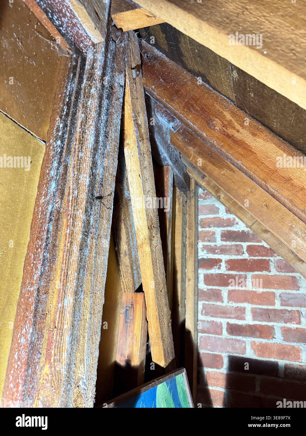 Das Innere eines britischen Hauses weist Schäden durch Überschwemmungen auf, wasserbefleckte Wände, getränkte Böden und Anzeichen von Materialverschlechterung. Stockfoto