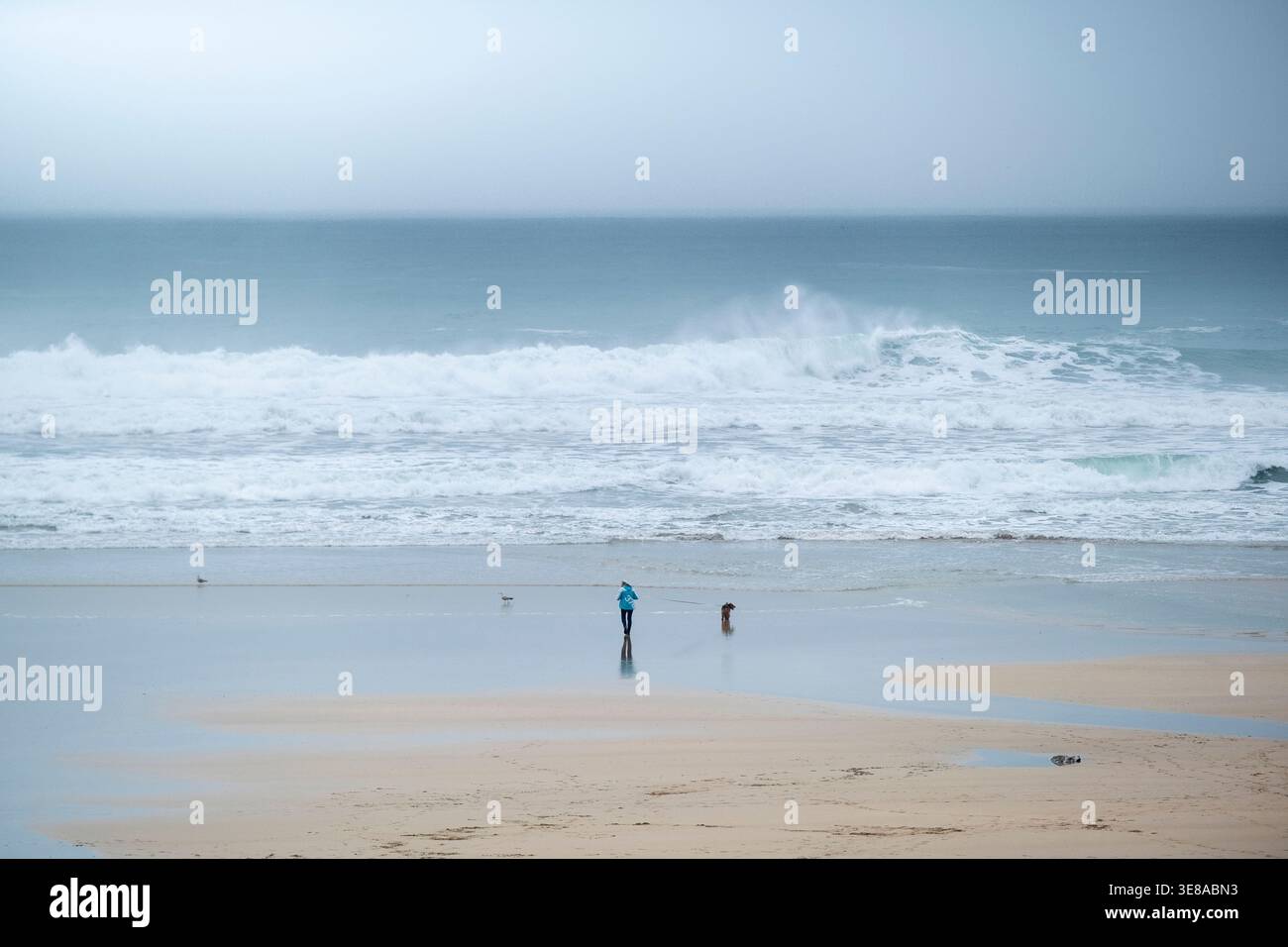 Ein Hundeschlittenläufer und sein Hund spazieren entlang des Ufers an einem nebligen, kalten Fistral Beach bei Ebbe an der Küste von Newquay in Cornwall in the Stockfoto