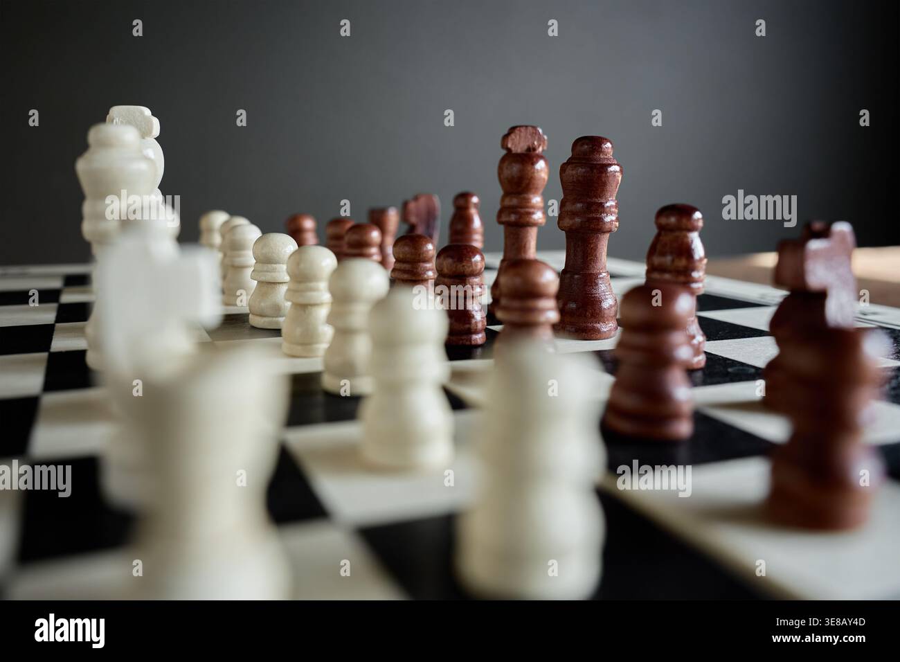 Weiße und braune Schachfiguren auf Schachbrett mit gegenüberliegenden Seiten. Konzept von Konfrontation, Balance, Positionsspiel und Wettbewerbsspannung. Stockfoto
