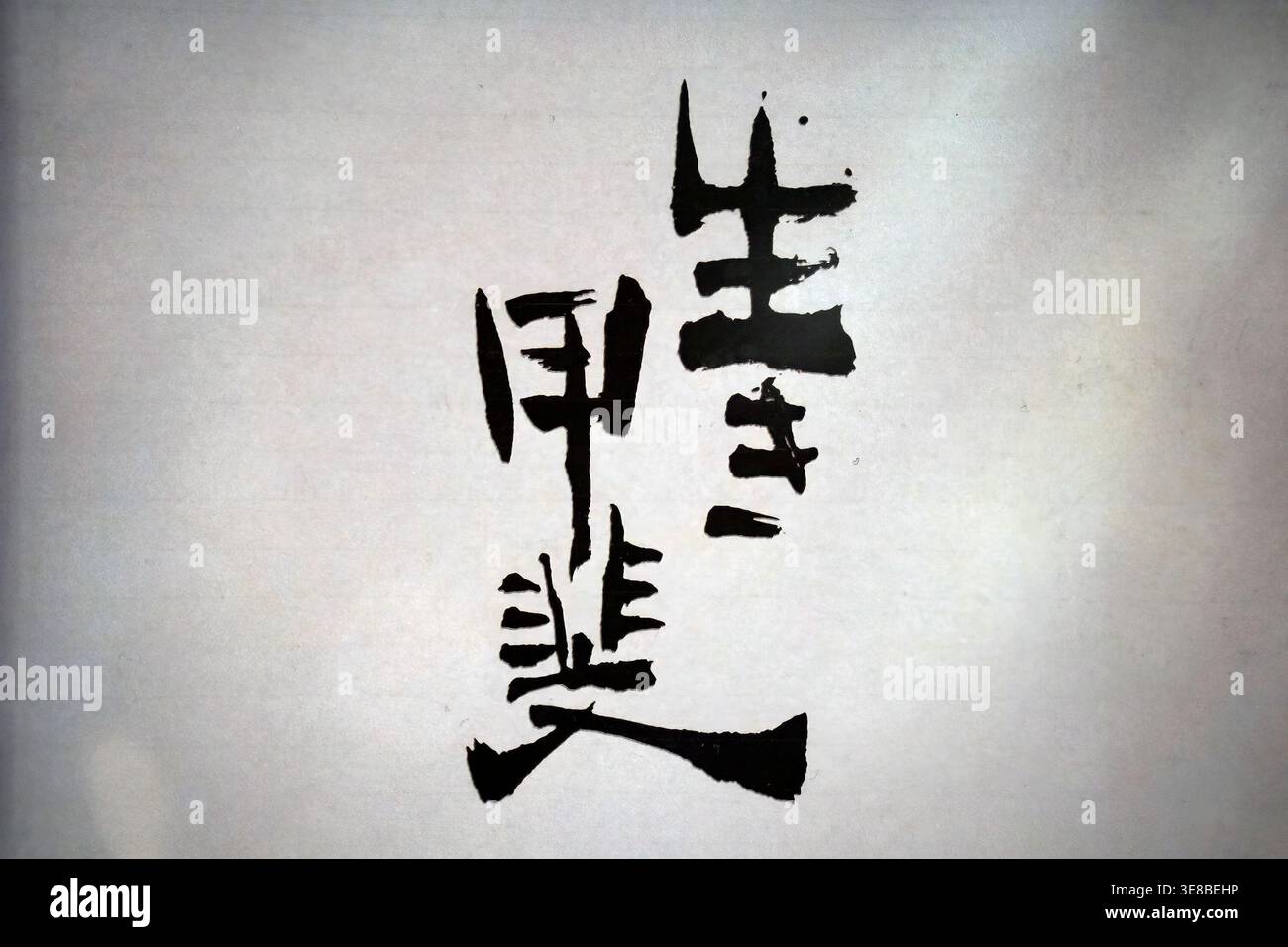 Ein japanischer Ikigai-Text übersetzt sich in einen Grund zum Leben, zum sein und repräsentiert das japanische Konzept eines zweckbestimmten Lebens, das das Aufwachen ausmacht Stockfoto