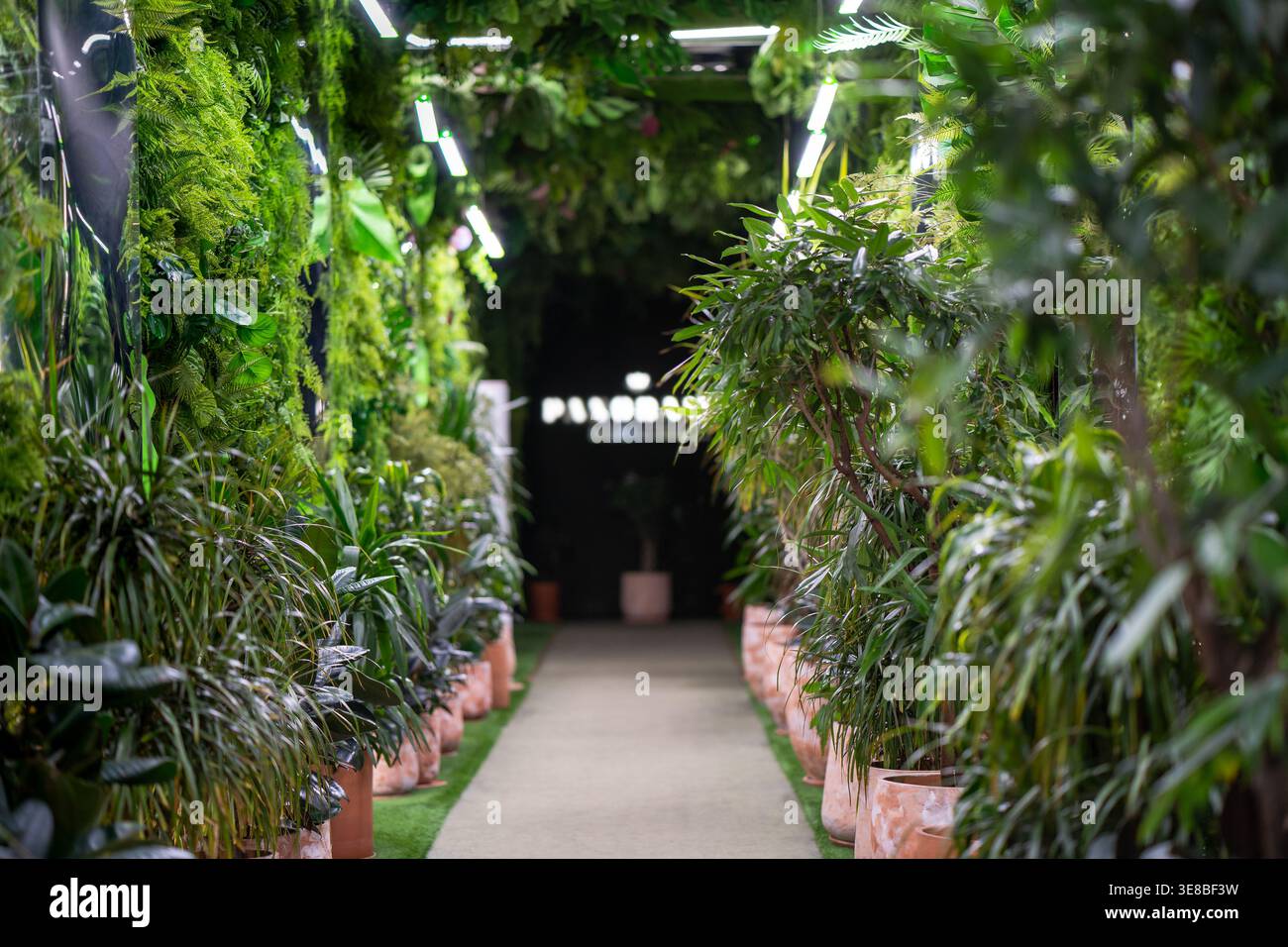 Tropischer Pflanzenkorridor biophile Innenausstattung mit Wohnwand, Dschungel-Design, urbaner Oase-Gang, nachhaltiger Einrichtung, botanischer Wellness-Atmosphäre. Stockfoto