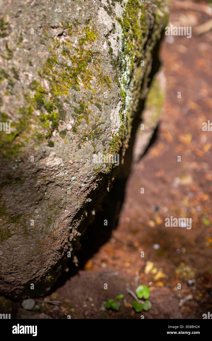 Nahaufnahme eines sonnendurchfluteten, moosigen Felsenrandes in einem Garten. Natürliches minimalistisches Podium für die Präsentation von Hautpflege- oder Schönheitsprodukten mit Kopierraum. Stockfoto