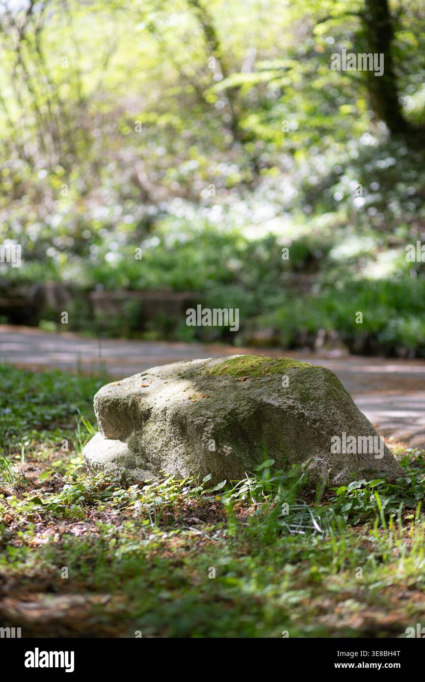 Großer, flacher Stein in einem sonnigen Park, der als Naturprodukt genutzt wird. Ruhiger Naturhintergrund für umweltbewusstes Branding und Mockups. Stockfoto