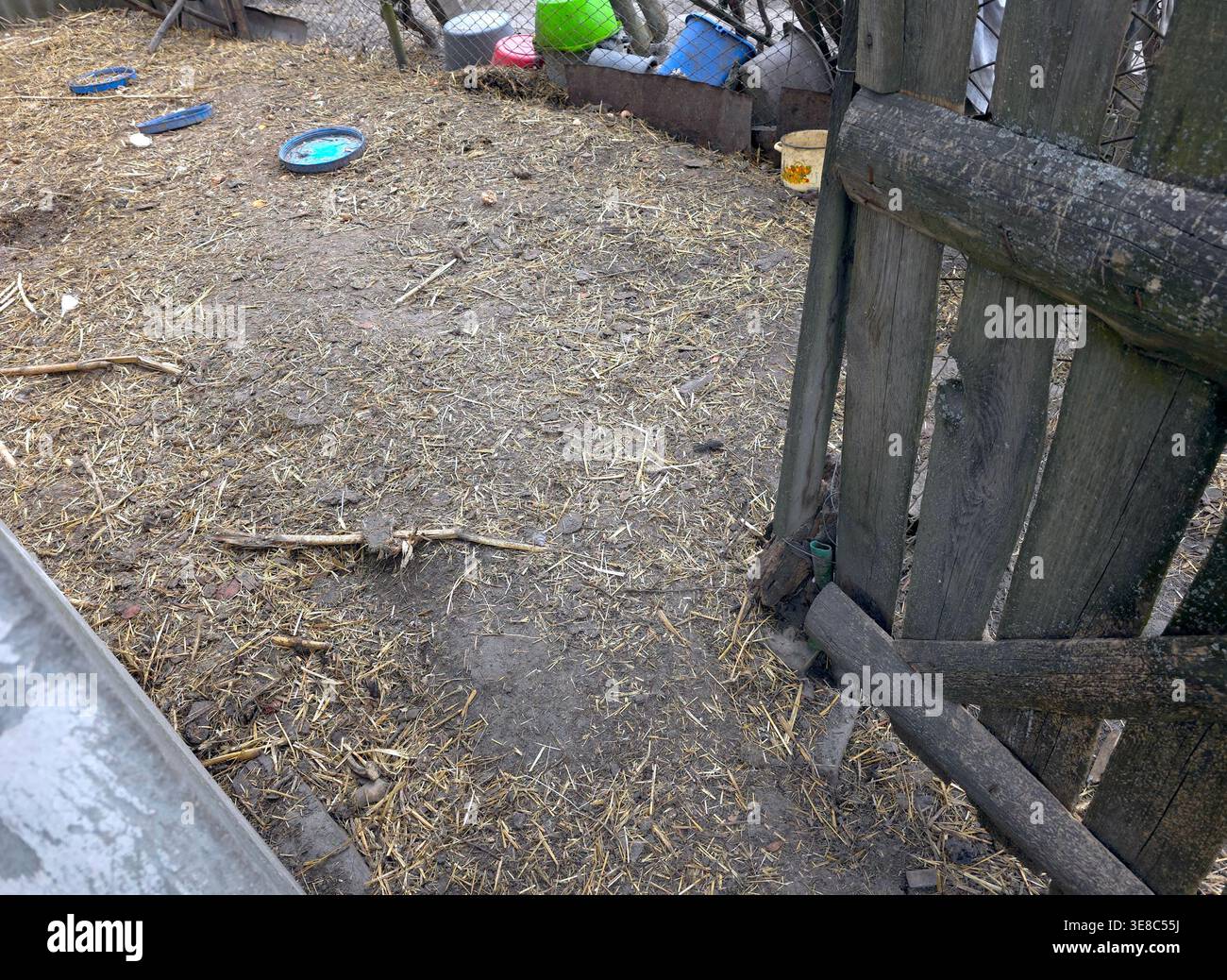 In einem Bauernhof wird in einem Hühnerstall Stroh über den Boden verteilt. In der Nähe befinden sich Futterschalen und ein Holztor. Stockfoto