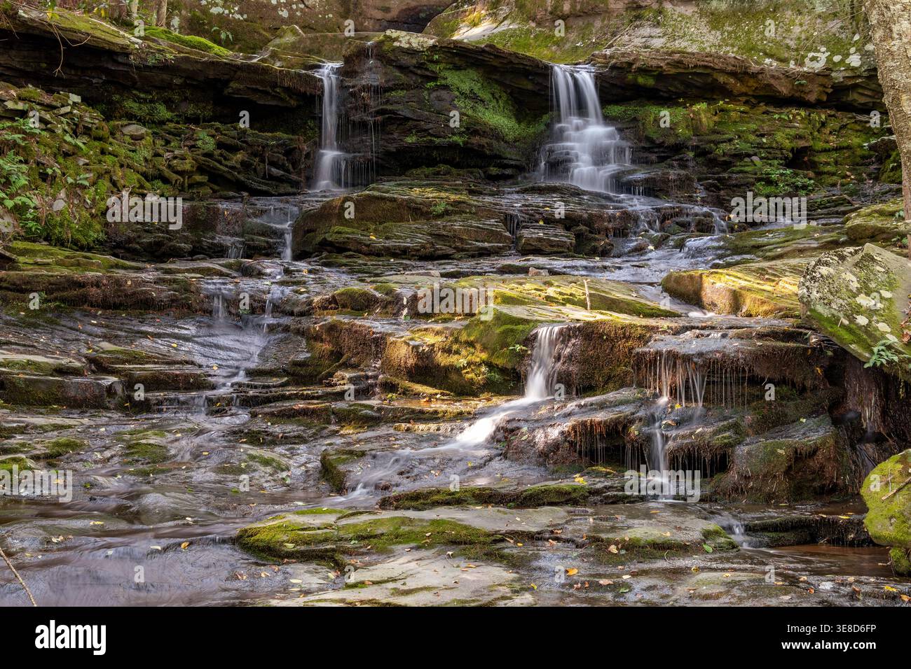 Mehrere kleine Wasserfälle, die an einem sonnigen Tag über moosbedeckte Felsregale in einer üppigen, bewaldeten Schlucht im Upstate New York kaskadieren. Stockfoto