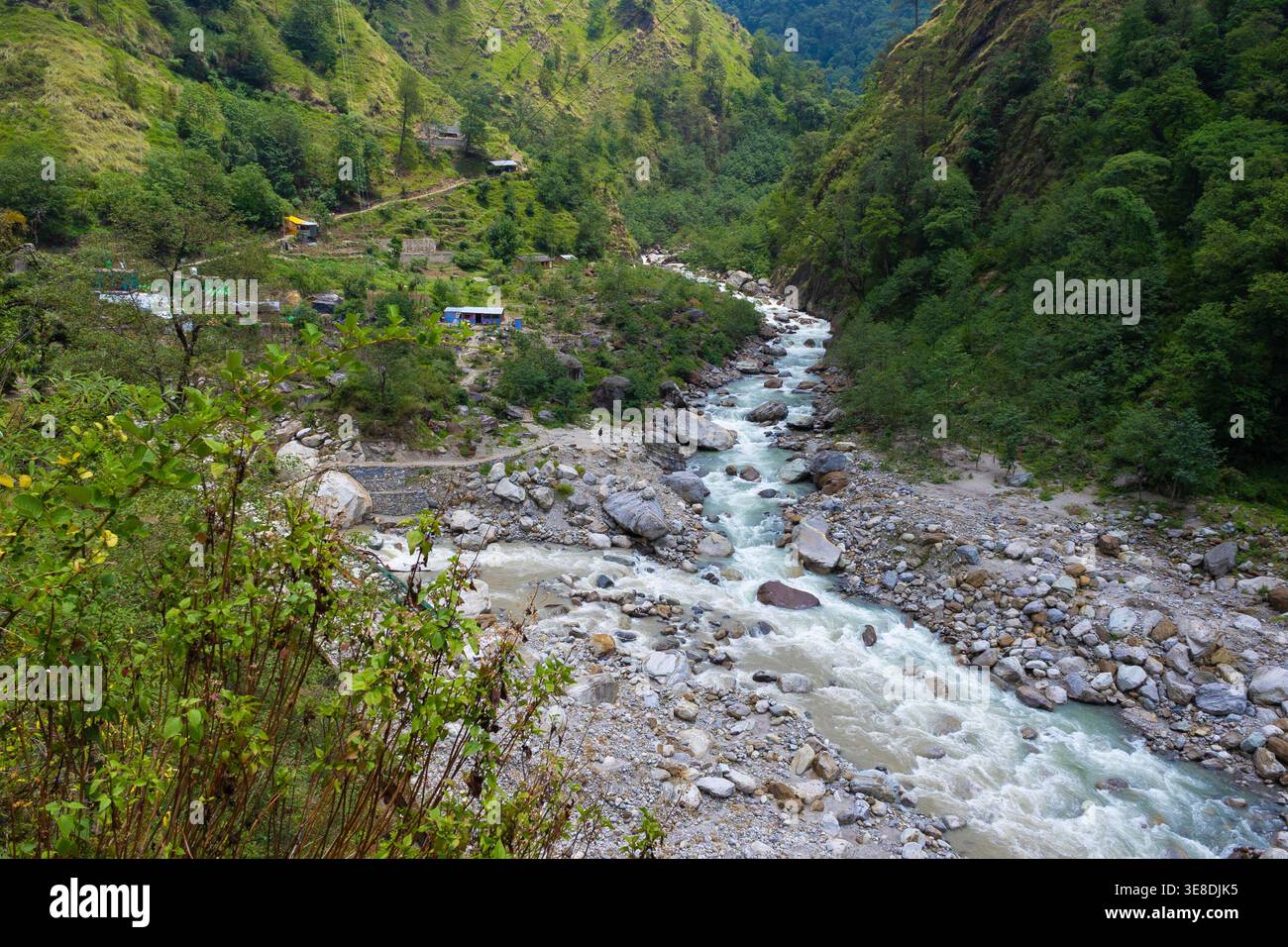 Dieses Bild zeigt einen atemberaubenden Blick auf einen Bergfluss, der sich durch ein üppiges grünes Tal schlängelt, umgeben von Bäumen und Felsen. Die Ruhe und Erbse Stockfoto