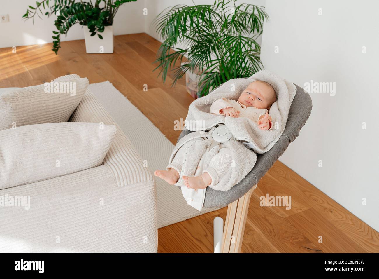Baby entspannt sich in einer Wippe neben dem Sofa im modernen Wohnzimmer. Warmes Sonnenlicht und gemütliches Zuhause. Familienleben und Kinderbetreuungskonzept. Stockfoto