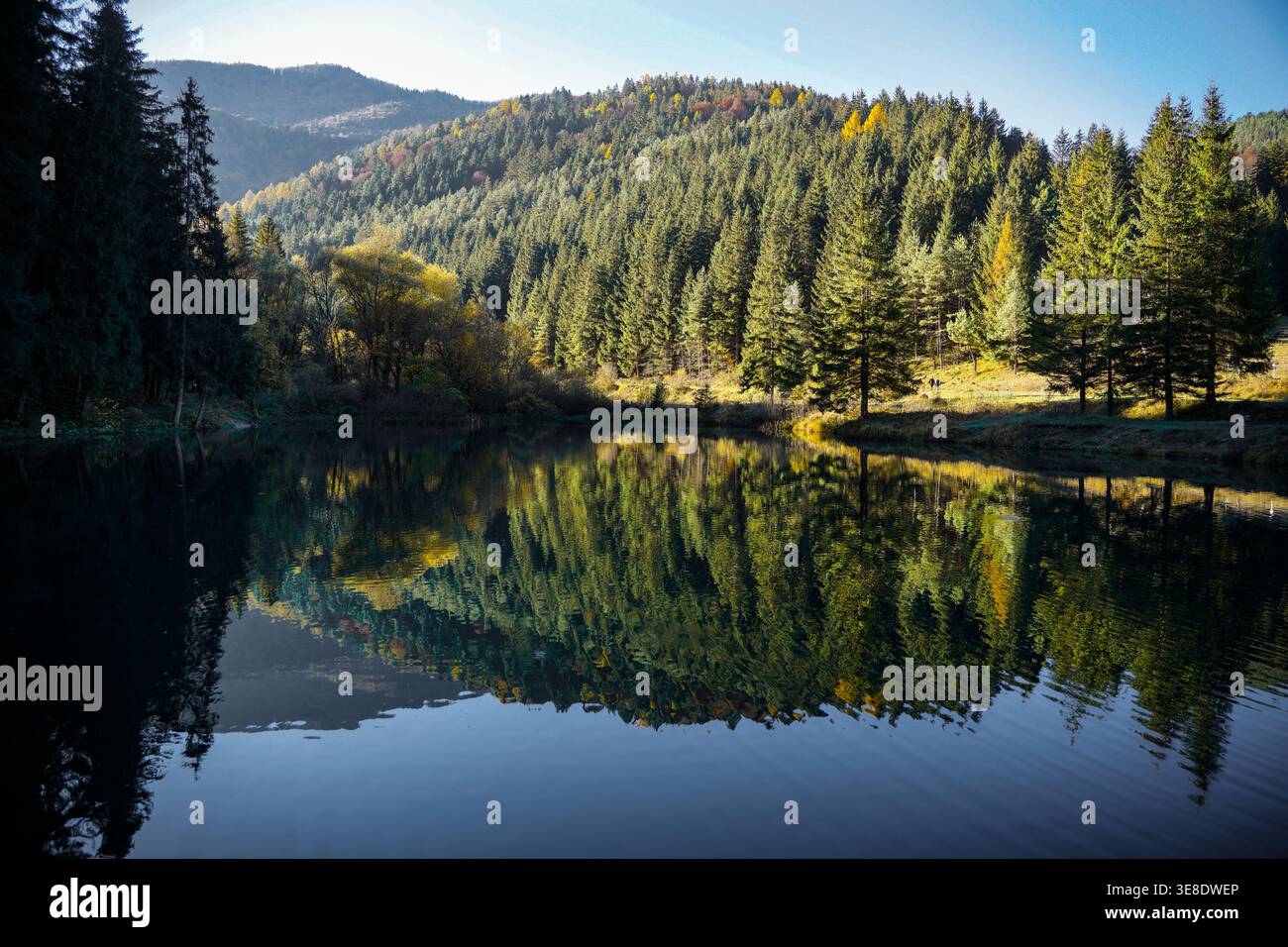 Waldbedeckte Hügel, die sich in ruhigem Seewasser mit herbstlichen Bäumen und klarem Himmel in bergiger Natur spiegeln Stockfoto