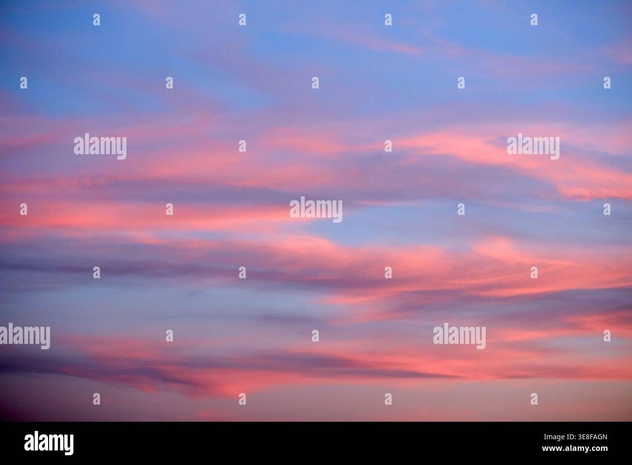 Wunderschöner Sonnenuntergangshimmel mit sanften rosa und lila Wolken auf blauem Hintergrund. Stockfoto