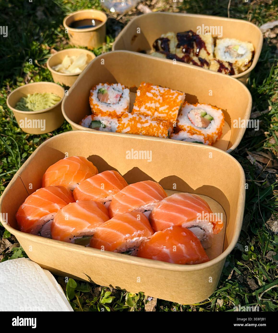 Verschiedene Sushi-Rollen und Nigiri in Take-away-Boxen, die draußen auf Gras platziert sind. Konzept von Picknick, Lebensmittellieferung und zwanglosem Essen. Stockfoto