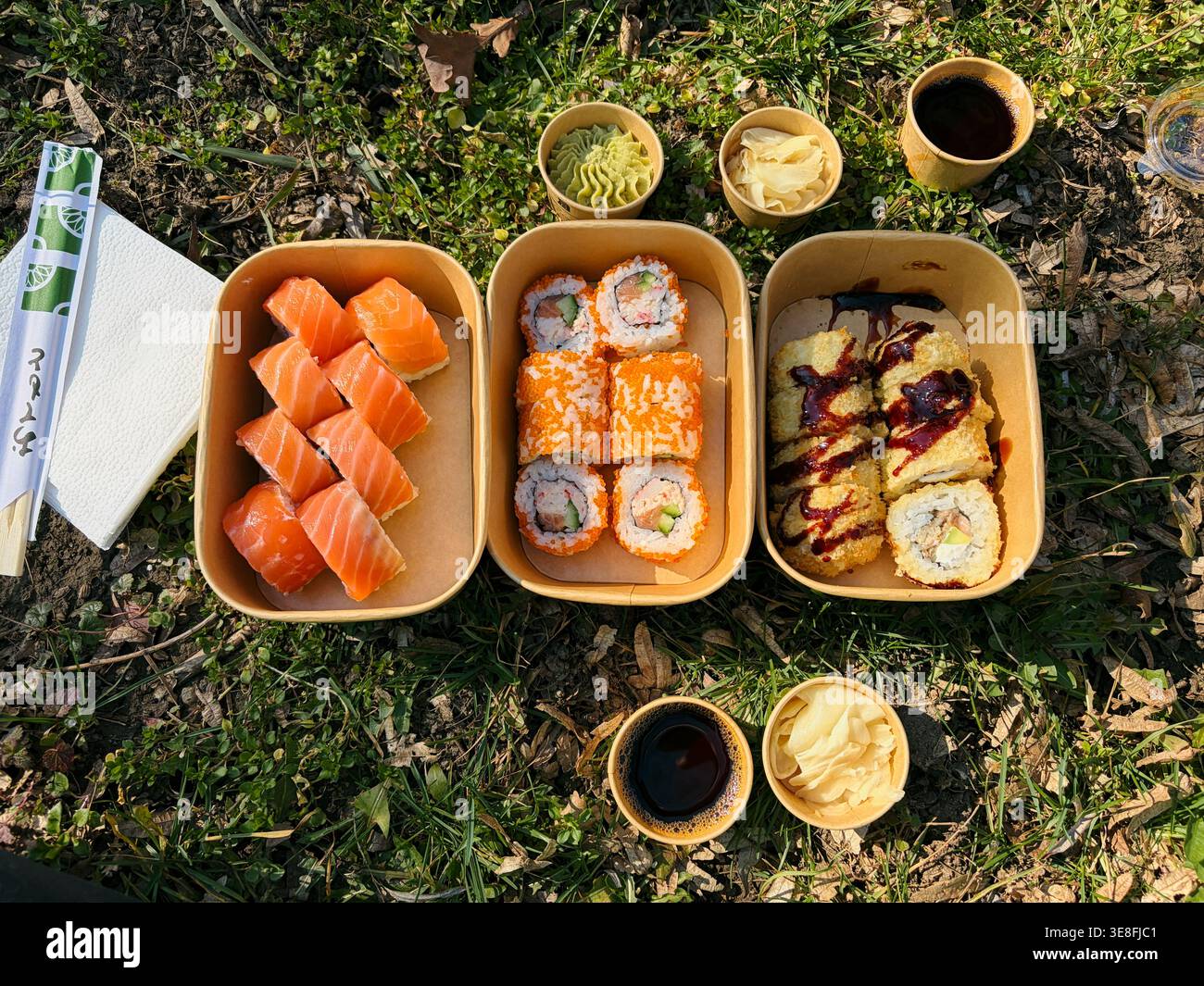 Verschiedene Sushi-Rollen und Nigiri in Take-away-Boxen, die draußen auf Gras platziert sind. Konzept von Picknick, Lebensmittellieferung und zwanglosem Essen. Stockfoto