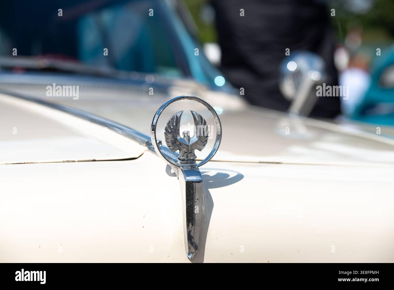 Wunderschönes Retro-Auto in einem Park im Freien an einem bewölkten Tag Stockfoto