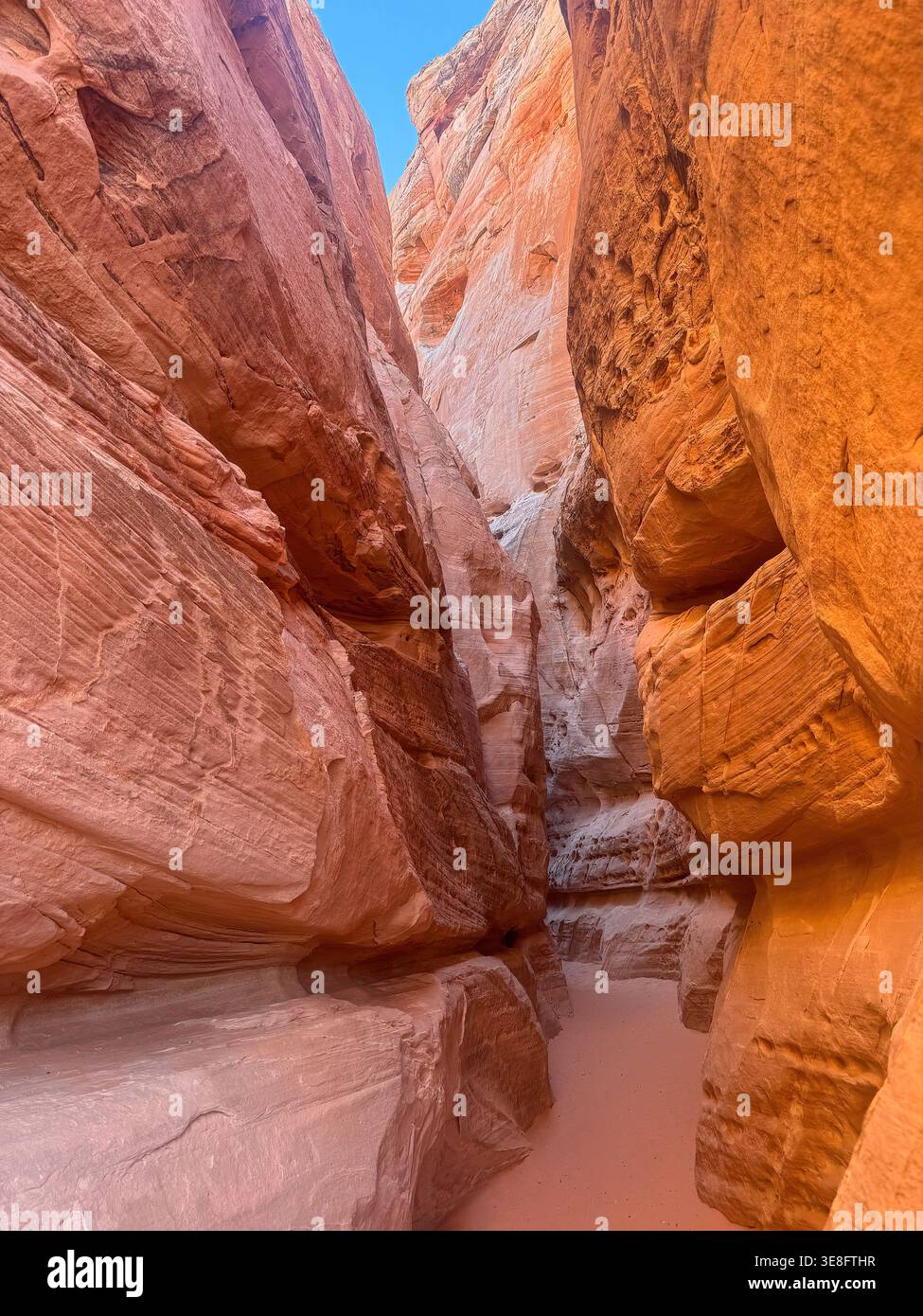 Hohe, schmale Schlucht mit hoch aufragenden Sandsteinmauern, die auf beiden Seiten steil ansteigen. Valley of Fire State Park, Nevada. Stockfoto